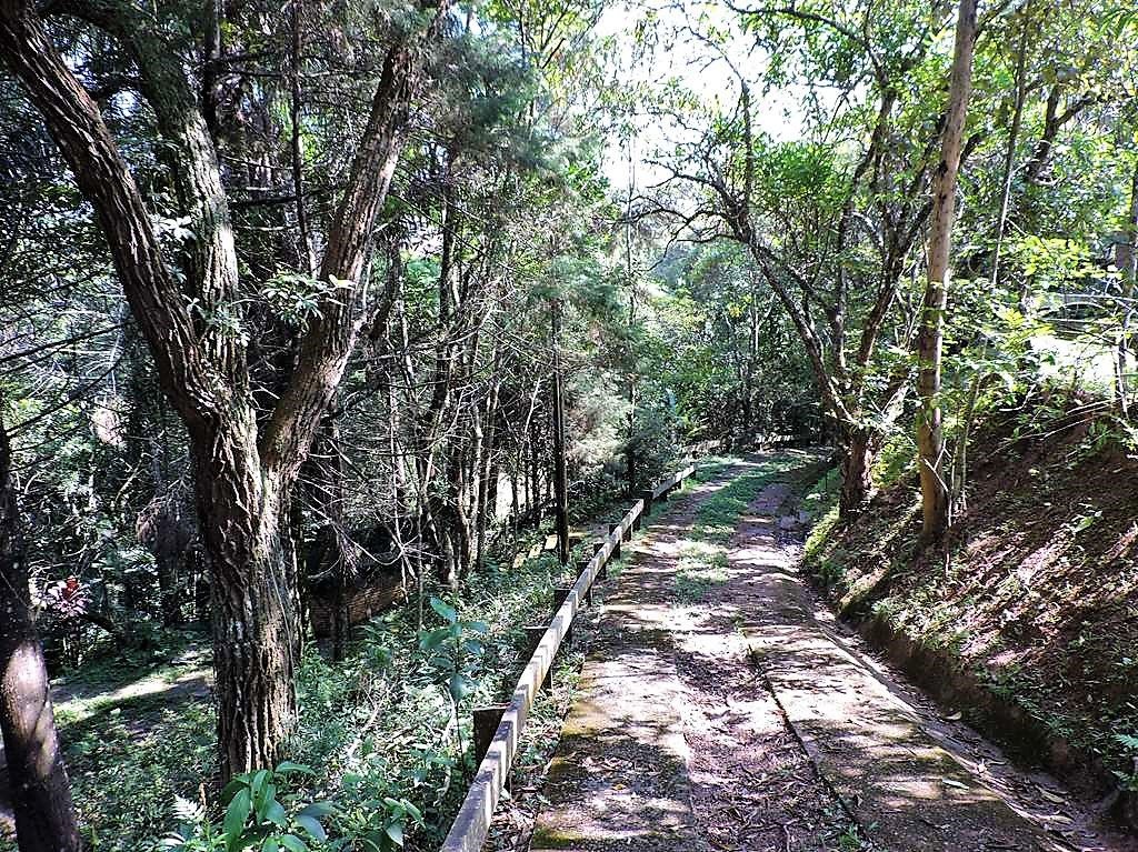 19 – alemeda interna